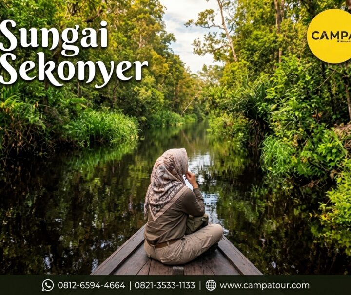 Sungai Sikonyer dalam Paket Tour Tanjung Puting bersama Campa Tour