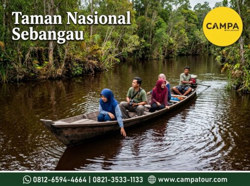 Taman Nasional Sebangau dalam paket Tour Wisata Palangkaraya bersama Campa Tour