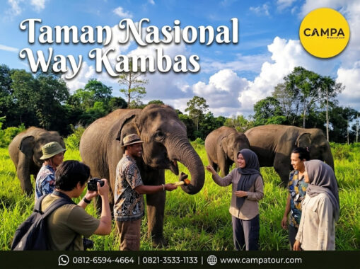 Taman Nasional Way Kambas dalam Paket Tour Wisata Pahawang bersama Campa Tour