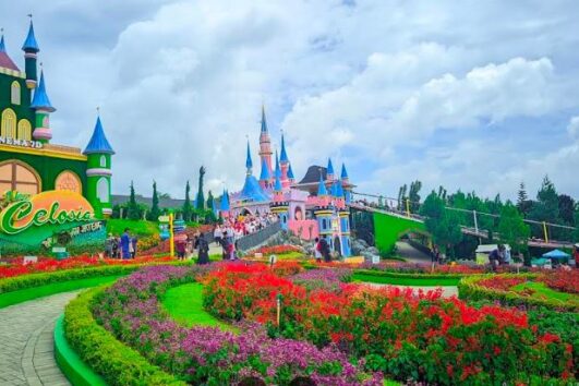 Paket Tour Wisata Taman Bunga Celosia Semarang