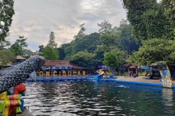 cibulan