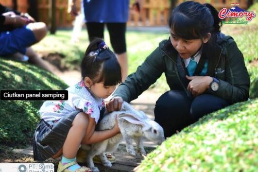 Paket Tour Wisata Cimory On The Valley Semarang