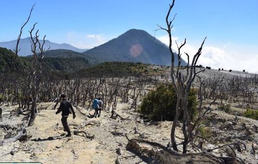 Paket Tour wisata Kampung Hutan Mati Gunung Papandayan Garut