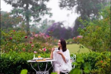 kebun mawar situpaha