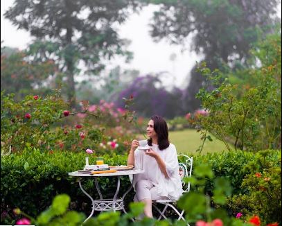 kebun mawar situpaha