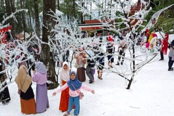 lawu park