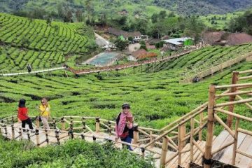 Bukit Jamur Rancabolang