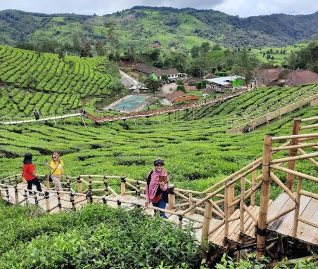 Bukit Jamur Rancabolang