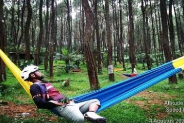 Bukit Pinus Panyawangan