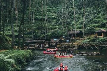 Hutan Pinus Rahong