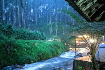 Kampung Singkur