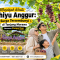 Menjelajah Wisata Chiyu Anggur - Surga Tersembunyi di Tanjung Morawa Bersama Campa Tour -