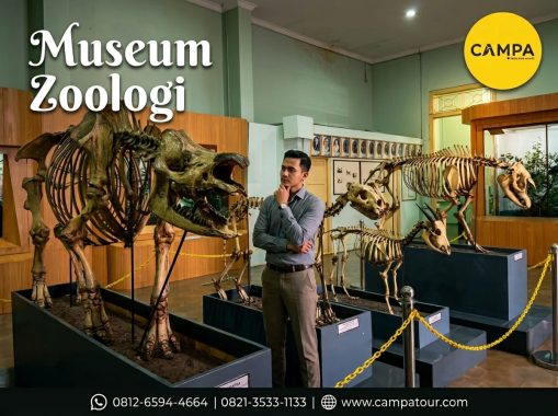 Museum Zoologi dalam Paket Wisata Bogor bersama Campa Tour