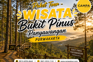 Paket Tour Wisata Bukit Pinus Panyawangan Purwakarta bersama Campa Tour