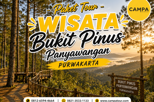 Paket Tour Wisata Bukit Pinus Panyawangan Purwakarta bersama Campa Tour