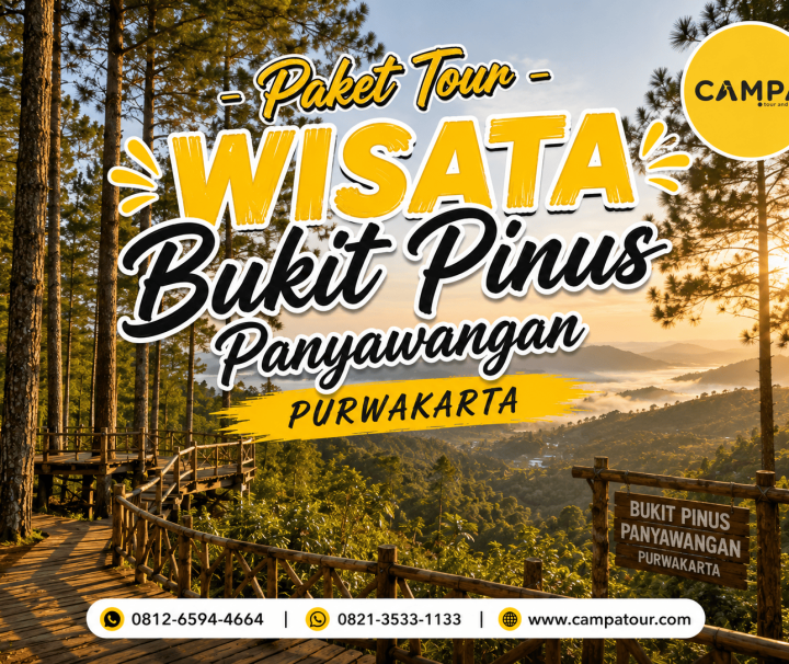 Paket Tour Wisata Bukit Pinus Panyawangan Purwakarta bersama Campa Tour