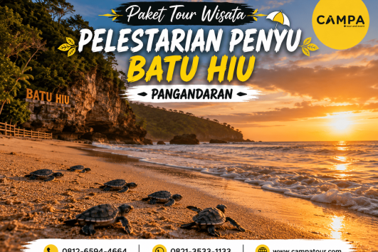 Paket Tour Wisata Pelestarian Penyu Batu Hiu bersama Campa Tour