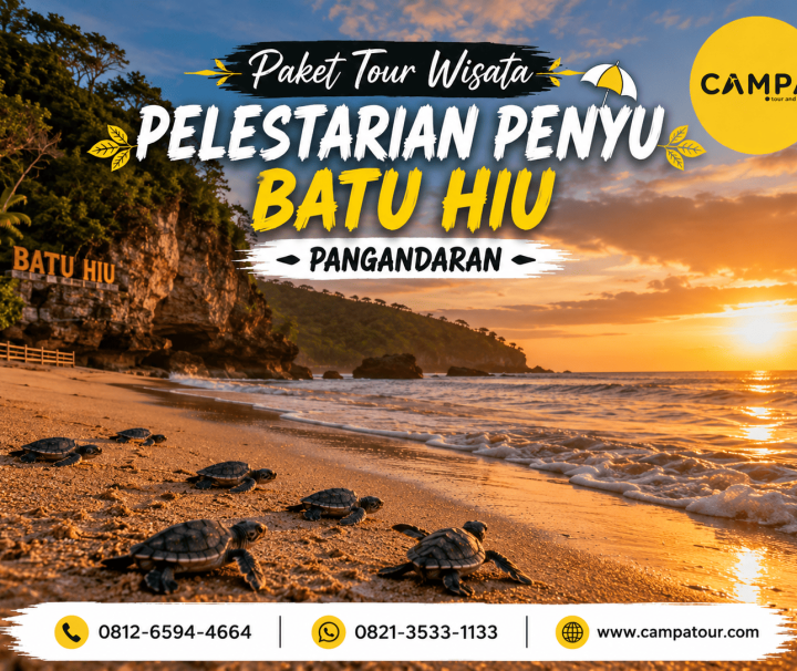 Paket Tour Wisata Pelestarian Penyu Batu Hiu bersama Campa Tour