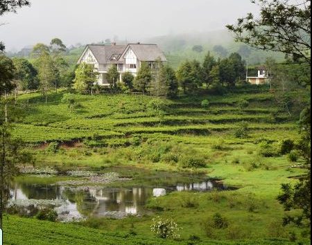 Rumah Putih Cukul