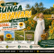Taman Bunga Matahari Viral di Magelang 2026 (Taman Dewari) - Bisa berkunjung ke taman ini bersama Campa Tour