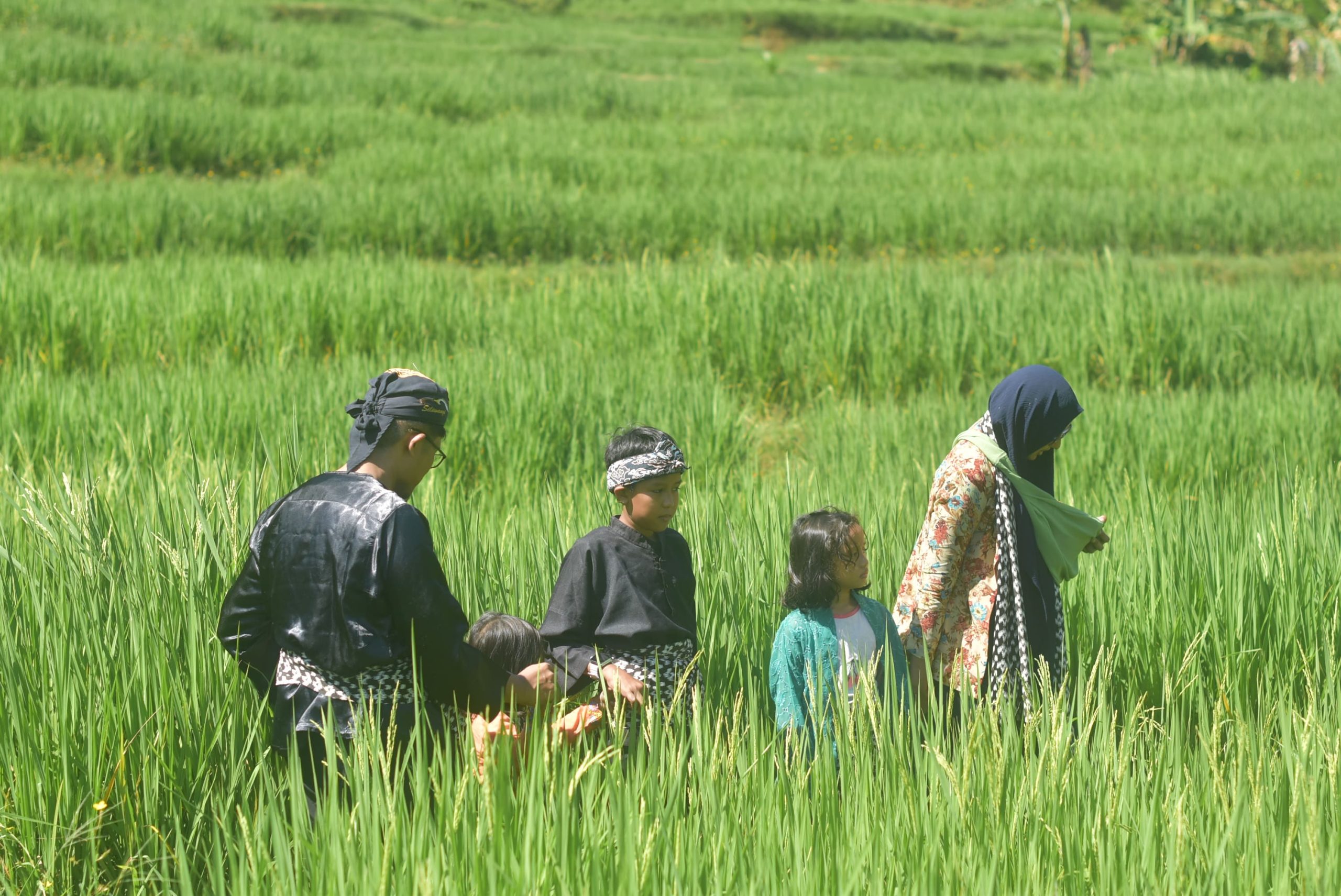 Trekking Sentul menggunakan pakaian sunda dengan background persawahan hijau bersama Campa Tour