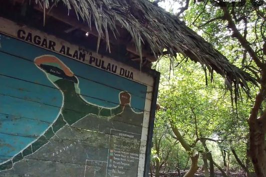 Cagar Alam Pulau Dua (Pulau Burung)