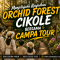 Menjelajahi Keajaiban Orchid Forest Cikole bersama Campa Tour