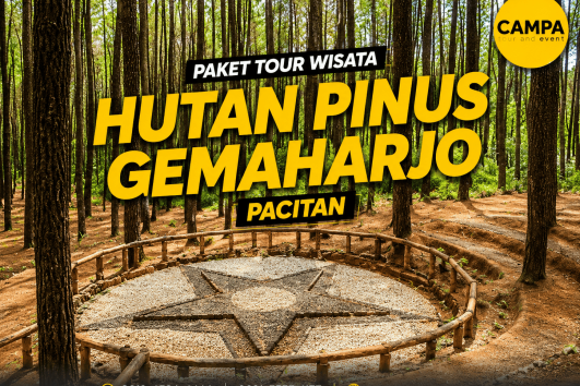Paket Tour Wisata Hutan Pinus Gemaharjo Pacitan bersama Campa Tour