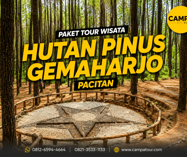 Paket Tour Wisata Hutan Pinus Gemaharjo Pacitan bersama Campa Tour