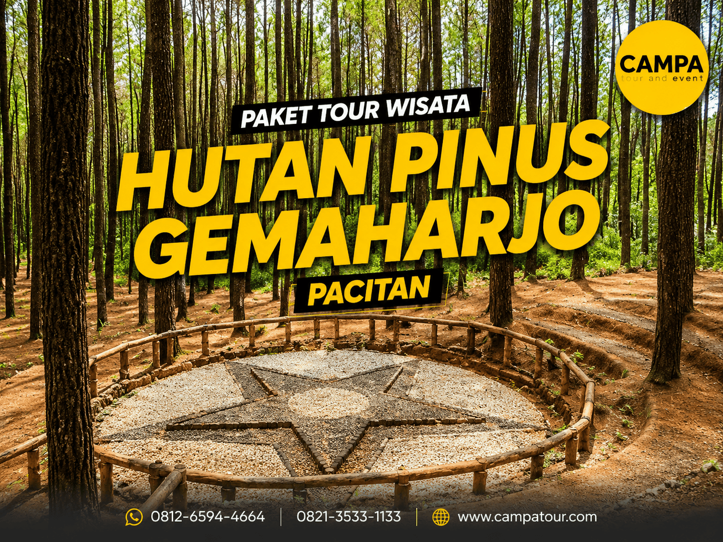 Paket Tour Wisata Hutan Pinus Gemaharjo Pacitan bersama Campa Tour