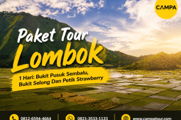 Paket Tour Wisata Lombok 1 Hari - Bukit Pusuk Setumbu, Bukit Selong dan Petik Strawberry bersama Campa Tour