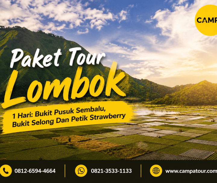Paket Tour Wisata Lombok 1 Hari - Bukit Pusuk Setumbu, Bukit Selong dan Petik Strawberry bersama Campa Tour