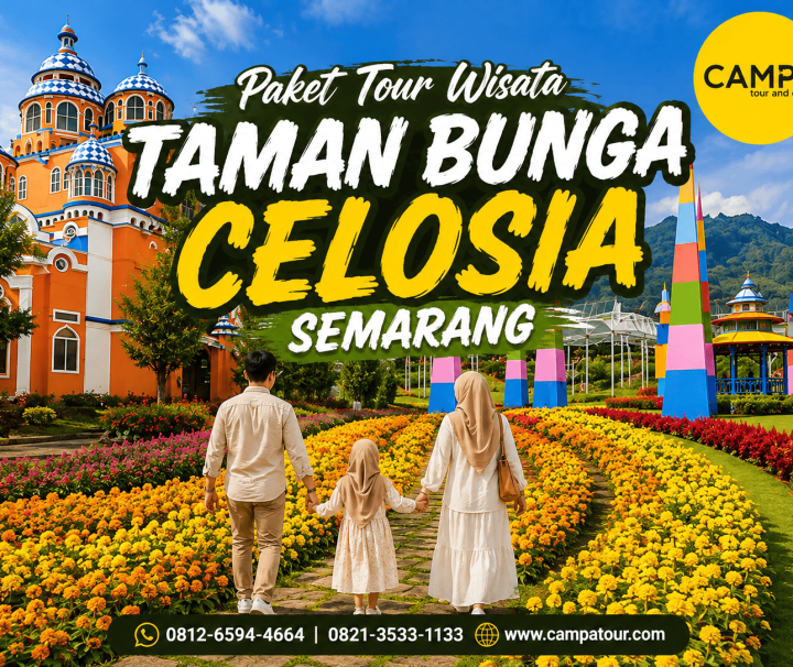Paket Tour Wisata Taman Bunga Celosia - - mengunjungi Salah satu wisata di Semarang bersama Campa Tour