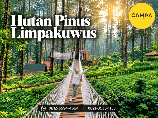 Hutan Pinus Limpakuwus dalam Paket Tour Wisata Purwokerto bersama Campa Tour