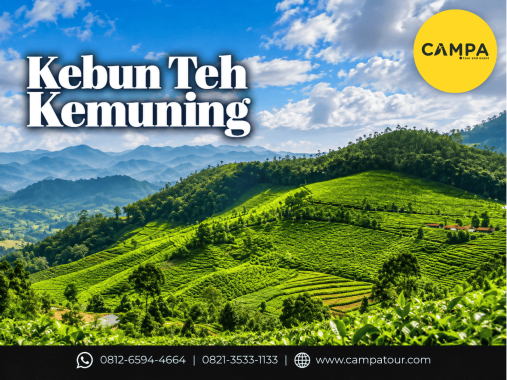 Kebun Teh Kemu