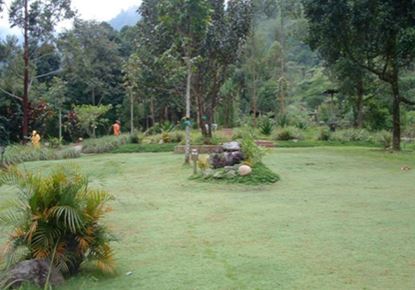 Meeting Point Open Trip Trekking Taman Safari Bogor bersama Campa Tour