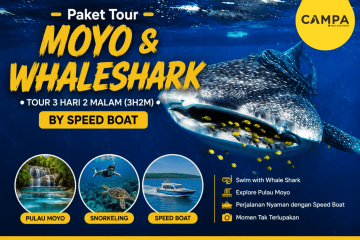 Paket Tour Moyo dan Whale Shark 3 Hari 2 Malam (3H2M) by speed boat