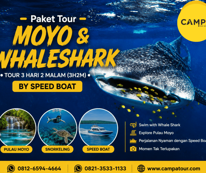Paket Tour Moyo dan Whale Shark 3 Hari 2 Malam (3H2M) by speed boat