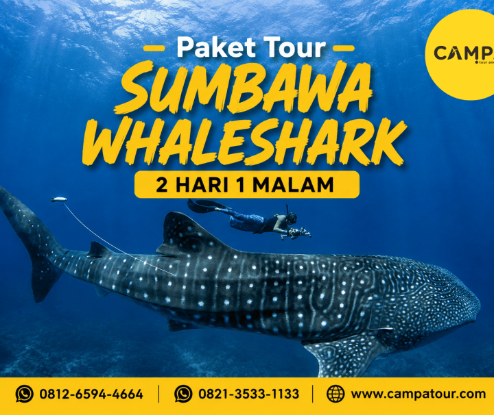 Paket Tour Sumbawa Whale Shark 2 Hari 1 Malam (2H1M) bersama Campa Tour