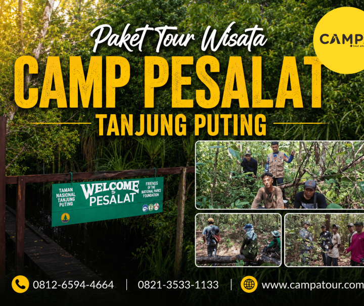 Paket Tour Wisata Sungai Sekonyer Tanjung Puting bersama Campa Tour (3)
