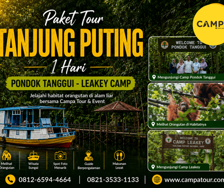 Paket Tour Wisata Tanjung Puting 1 Hari (Pondok Tanggui - Leakey Camp) bersama Campa Tour