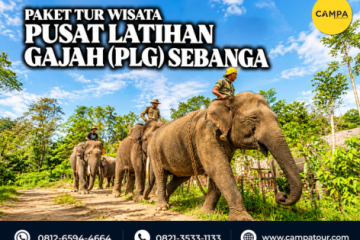 paket tur wisata pusat latihan gajah PLG sebanga - Campa Tour