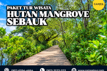 paket tur wisata hutan mangrove sebauk - Campa tour