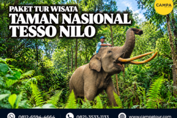 paket tur wisata Taman Nasional Tesso Nilo - Campa tour