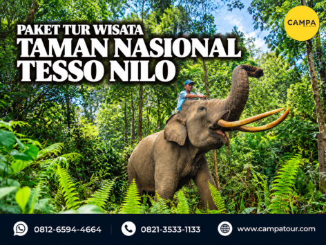 paket tur wisata Taman Nasional Tesso Nilo - Campa tour