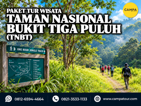 paket tur wisata Taman Nasional Bukit Tiga Puluh - Campa tour