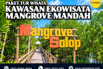 Paket tur wisata Kawasan Ekowisata Mangrove Mandah - Campa tour