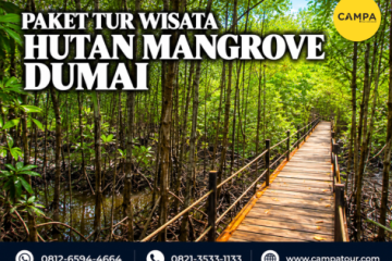 Paket tur wisata hutan mangrove dumai - Campa tour