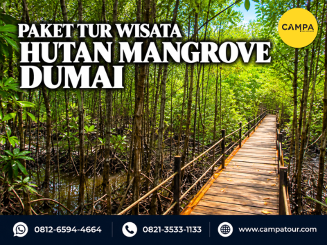Paket tur wisata hutan mangrove dumai - Campa tour