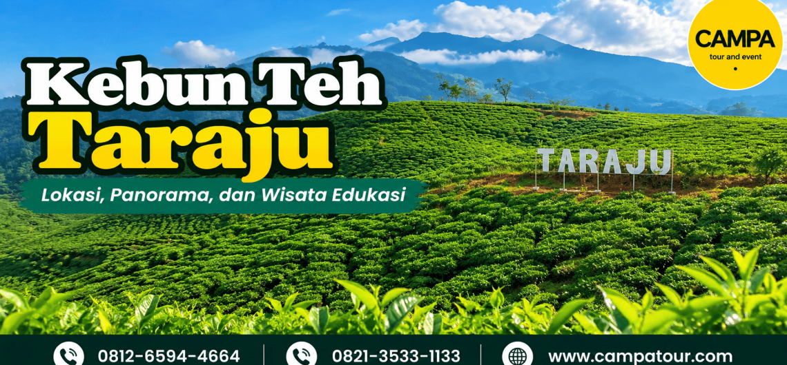 Kebun Teh Taraju - Lokasi, panorama dan wiata edukasi di tasikmalya bersama Campa Tour